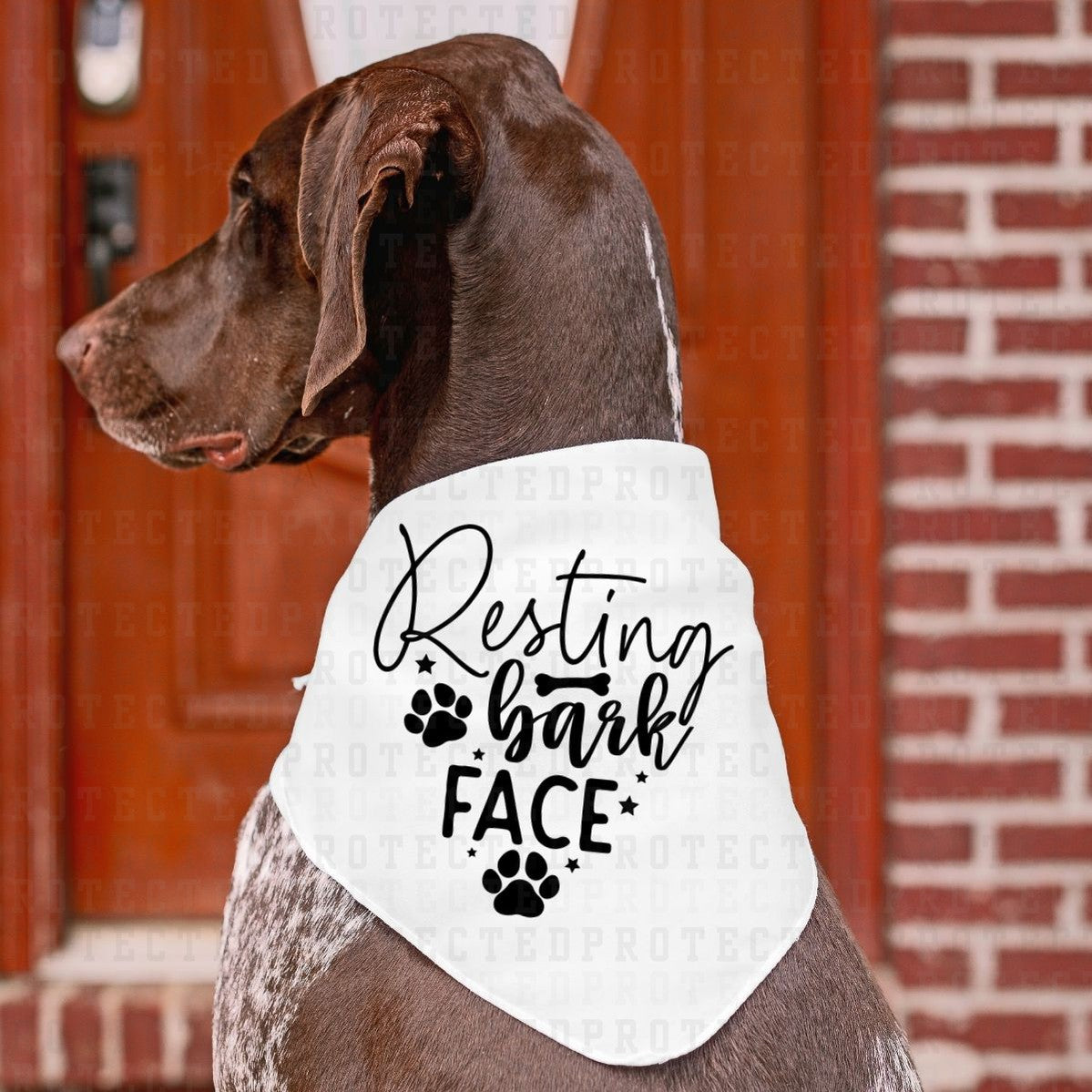 RESTING BARK FACE *SINGLE COLOR* - DTF TRANSFER