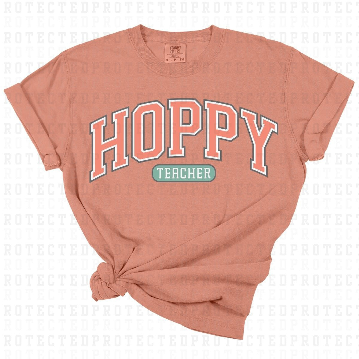 HOPPY TEACHER - DTF TRANSFER