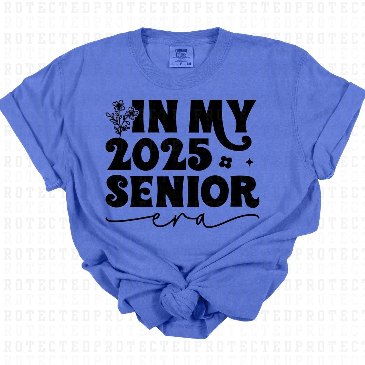 2025 SENIOR ERA *SINGLE COLOR* - DTF TRANSFER