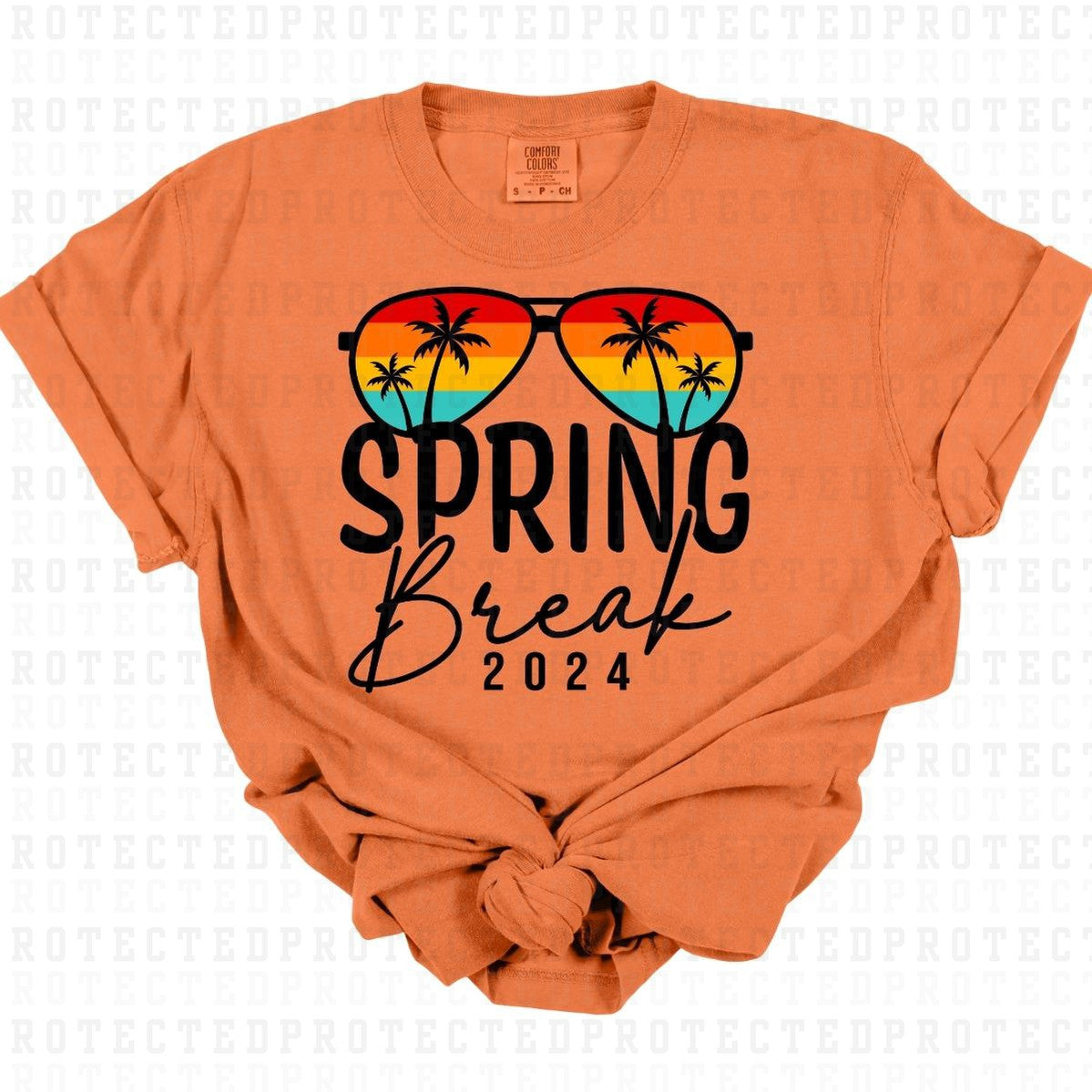 SPRING BREAK 2024 *BLACK* - DTF TRANSFER