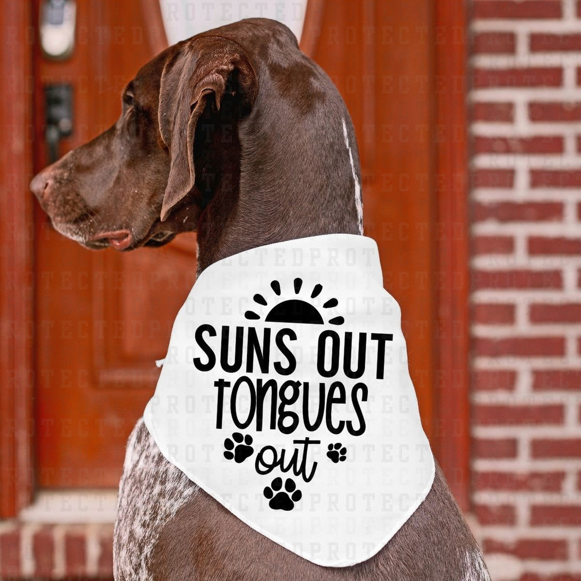 SUNS OUT TOUNGES OUT *SINGLE COLOR* - DTF TRANSFER