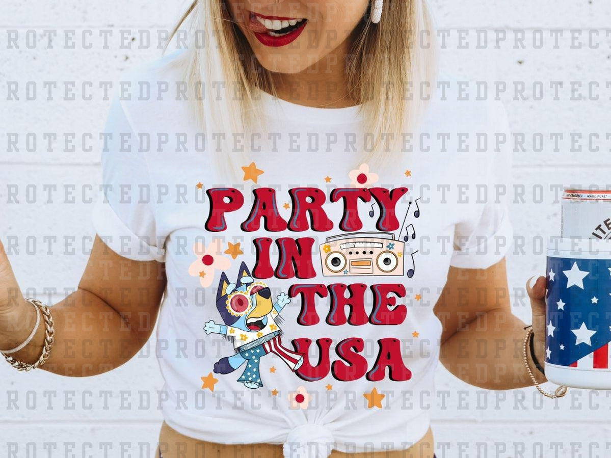 PARTY IN THE USA - DTF TRANSFER