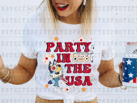 PARTY IN THE USA - DTF TRANSFER