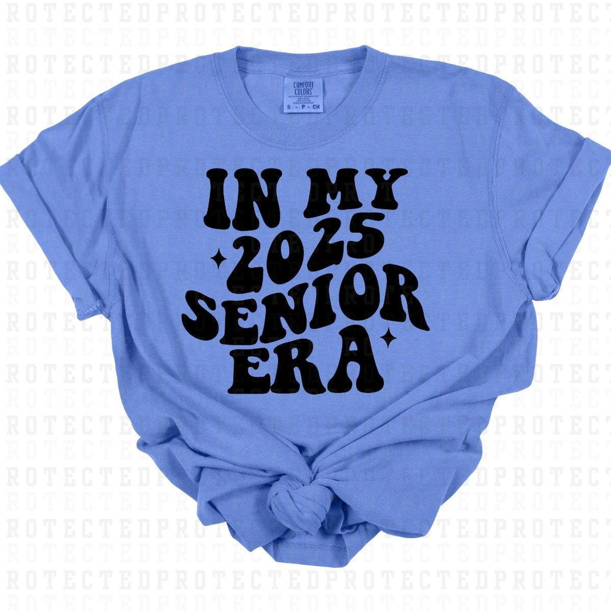 2025 SENIOR ERA *SINGLE COLOR* - DTF TRANSFER