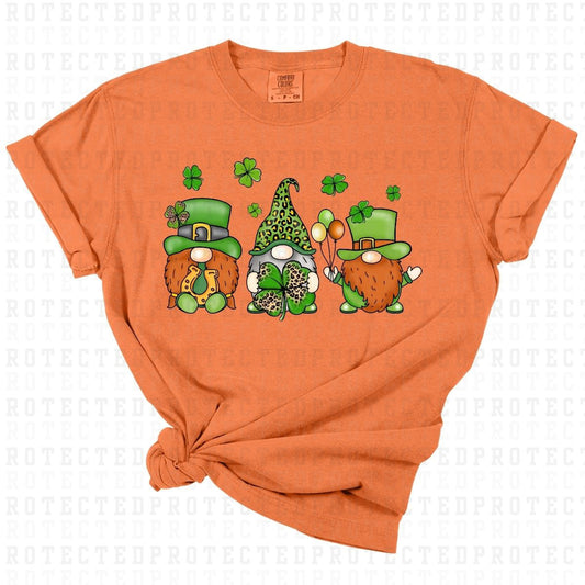 3 ST PATRICKS DAY GNOMES - DTF TRANSFER