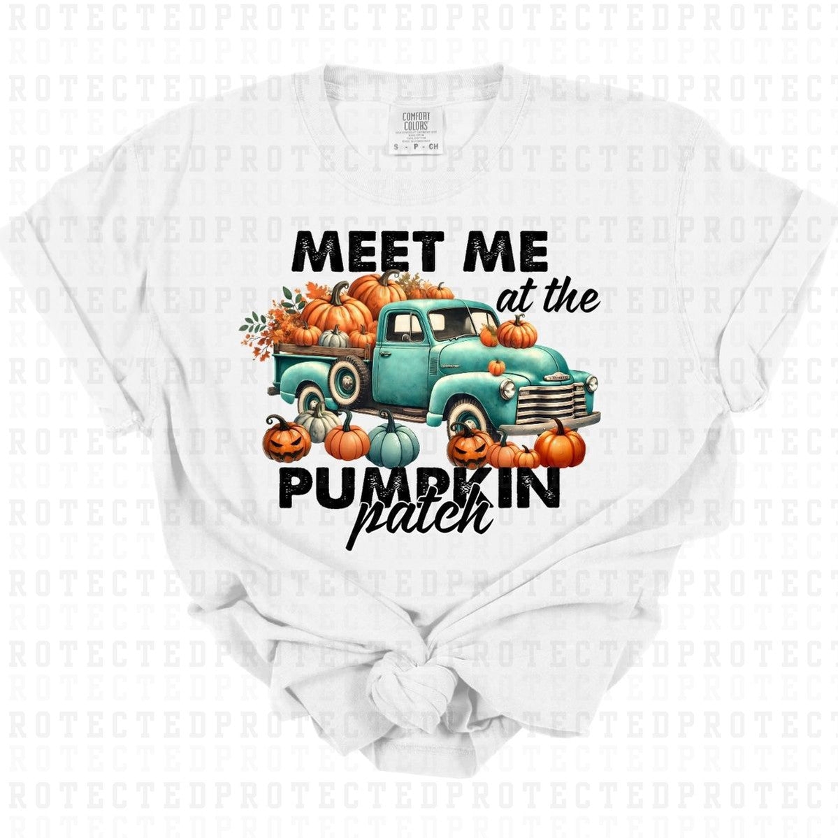 MEET ME AT THE PUMPKIN PATCH - DTF TRANSFER