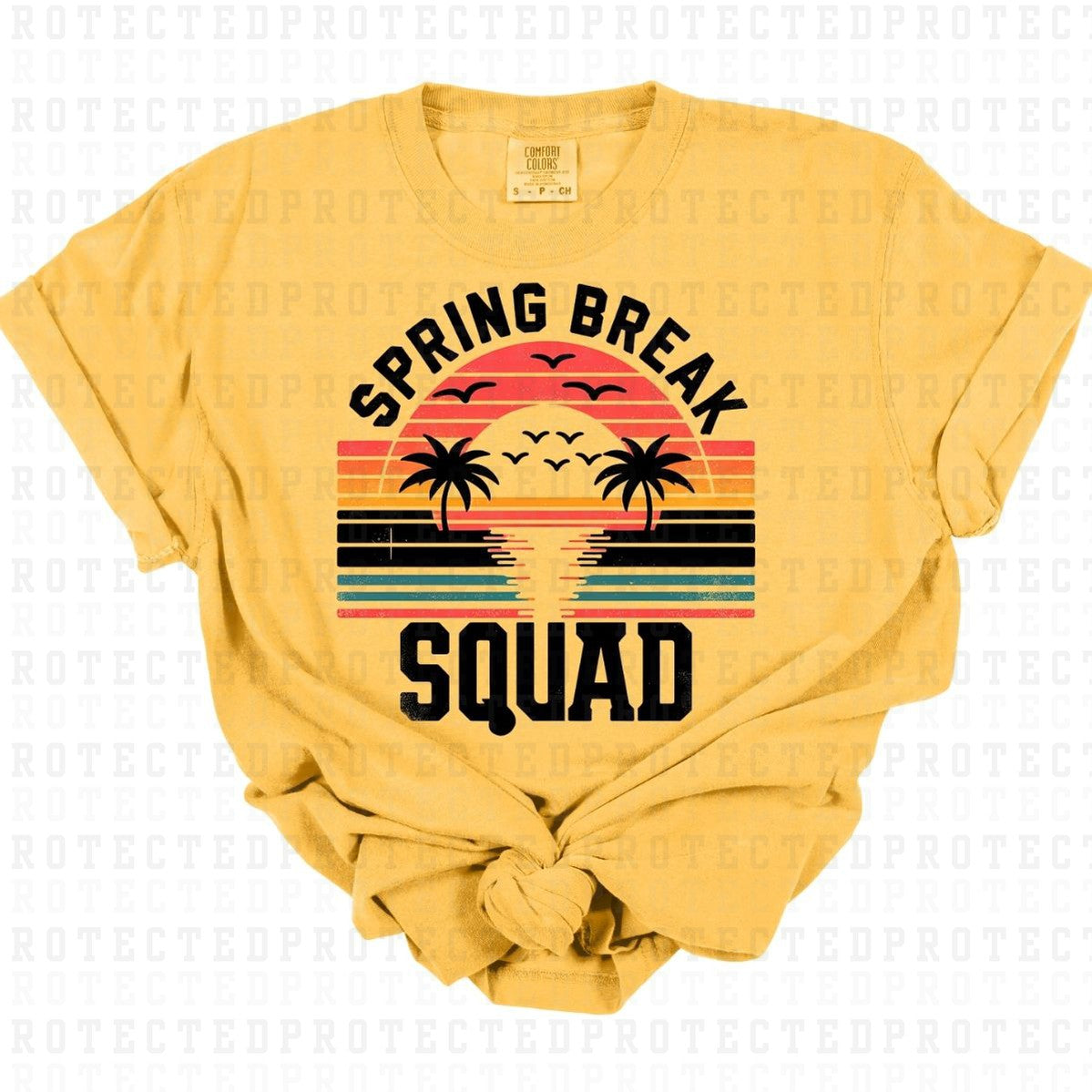 SPRING BREAK SQUAD *BLACK* - DTF TRANSFER