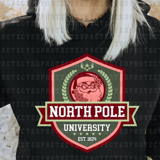 NORTH POLE UNIVERSITY - DTF TRANSFER