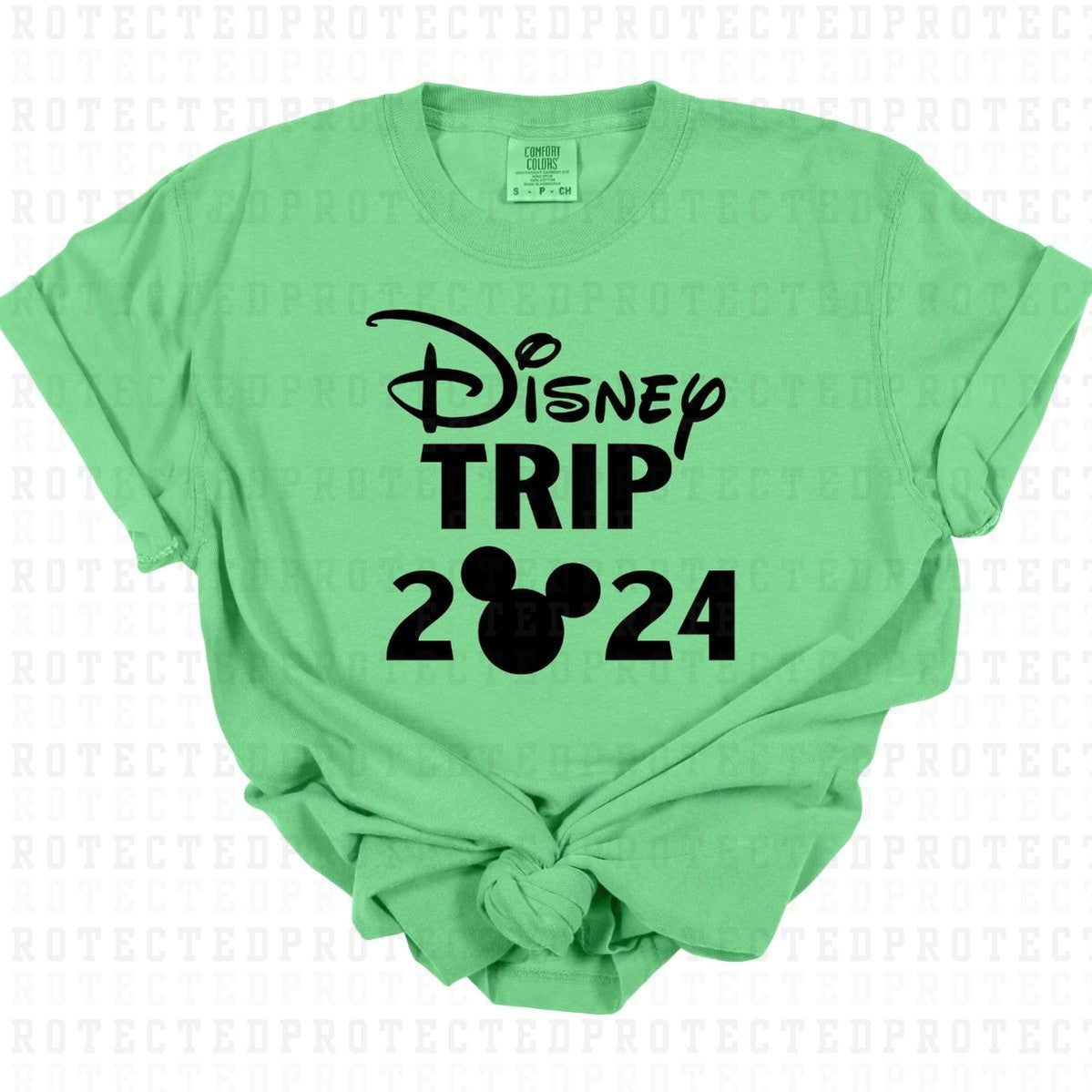 MAGICAL TRIP 2024 *SINGLE COLOR* - DTF TRANSFER