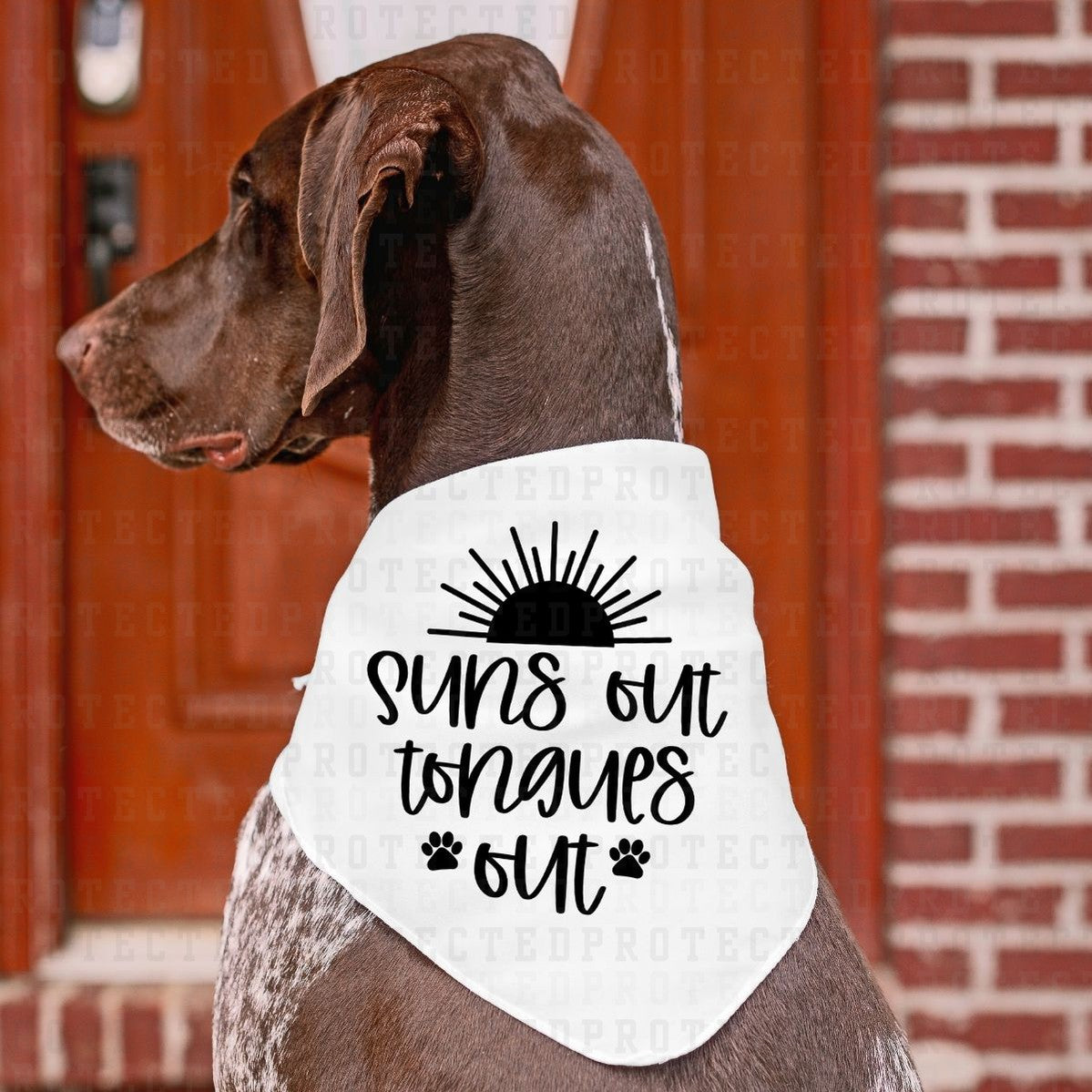 SUNS OUT TOUNGES OUT *SINGLE COLOR* - DTF TRANSFER