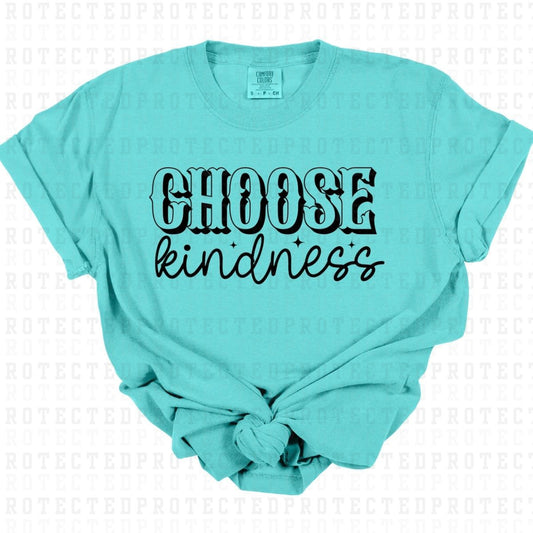 CHOOSE KINDNESS *SINGLE COLOR* - DTF TRANSFER