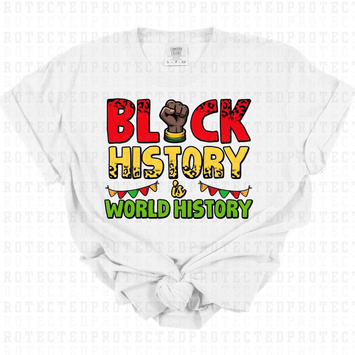 BLACK HISTORY IS WORLD HISTORY - DTF TRANSFER