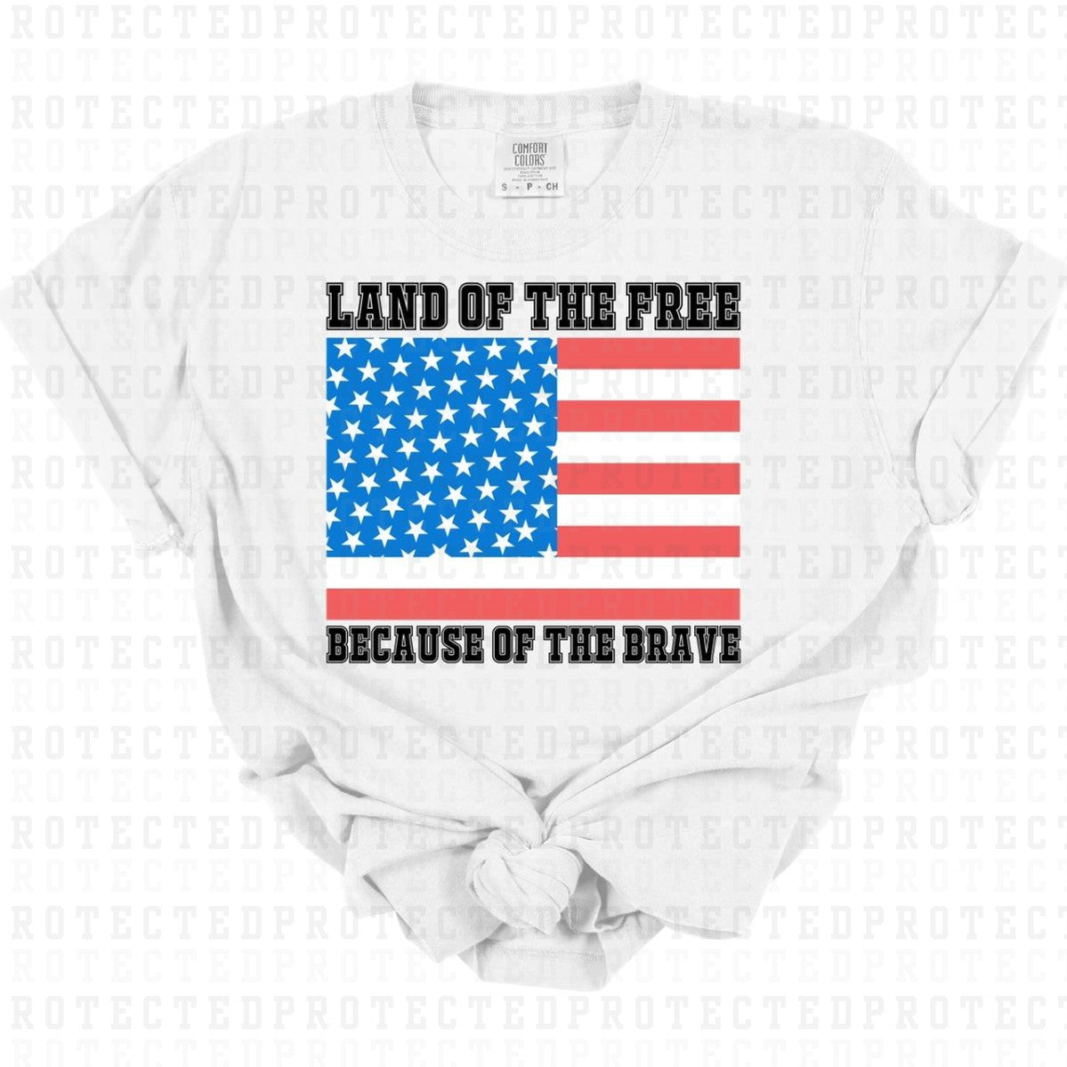 LAND OF THE FREE BECAUSE OF THE BRAVE - DTF TRANSFER