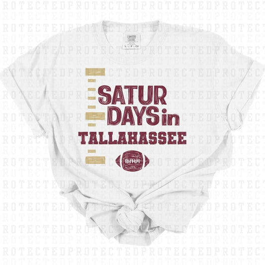 SATURDAYS IN TALLAHASSEE - DTF TRANSFER