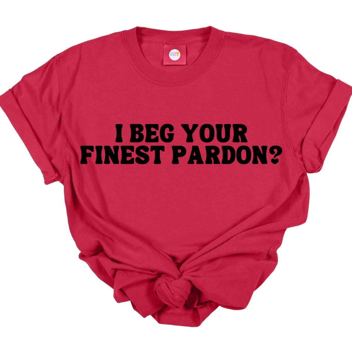 I BEG YOUR FINEST PARDON? *SINGLE COLOR* - DTF TRANSFER