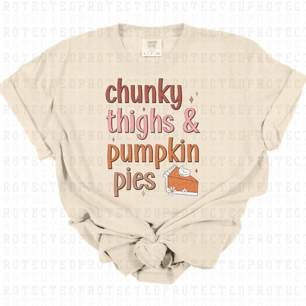 CHUNKY THIGHS PUMPKIN PIES - DTF TRANSFER