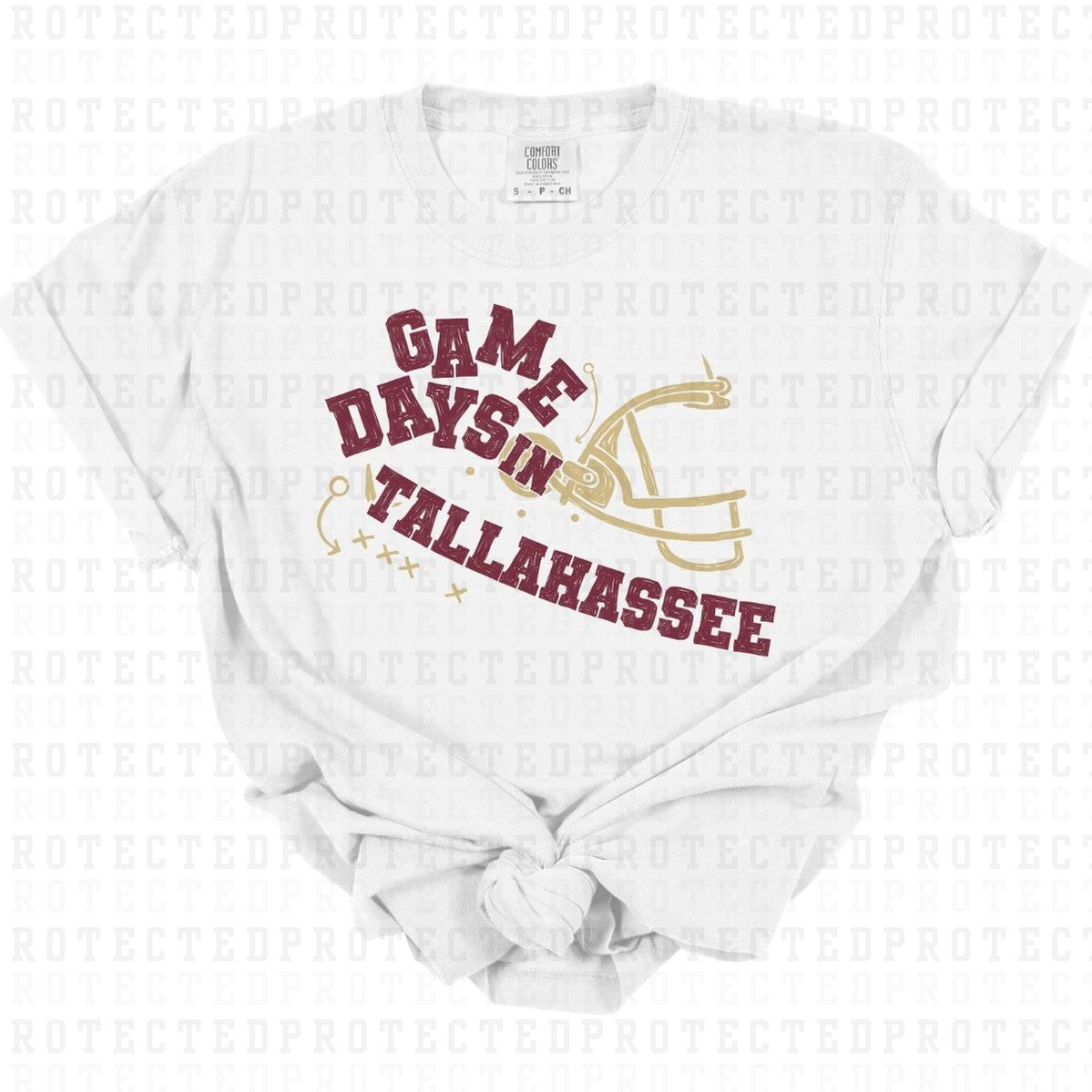 GAME DAYS IN TALLAHASSEE - DTF TRANSFER