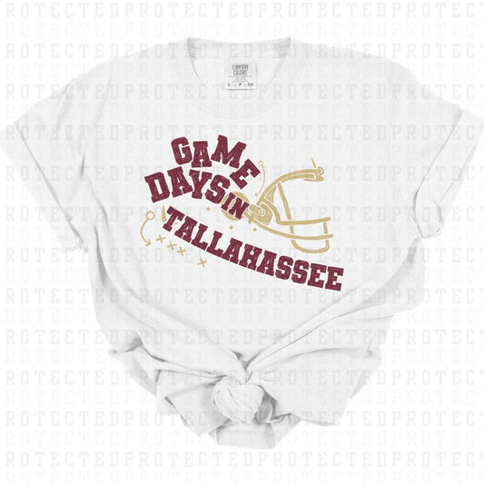 GAME DAYS IN TALLAHASSEE - DTF TRANSFER