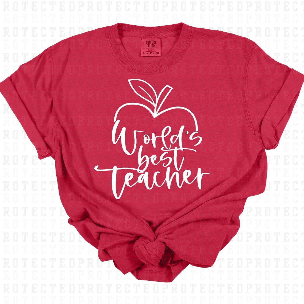 WORLDS BEST TEACHER *SINGLE COLOR* - DTF TRANSFER