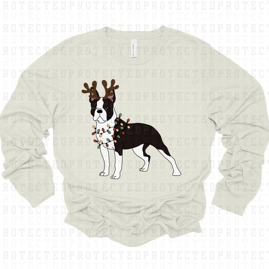 REINDEER BOSTON TERRIER - DTF TRANSFER