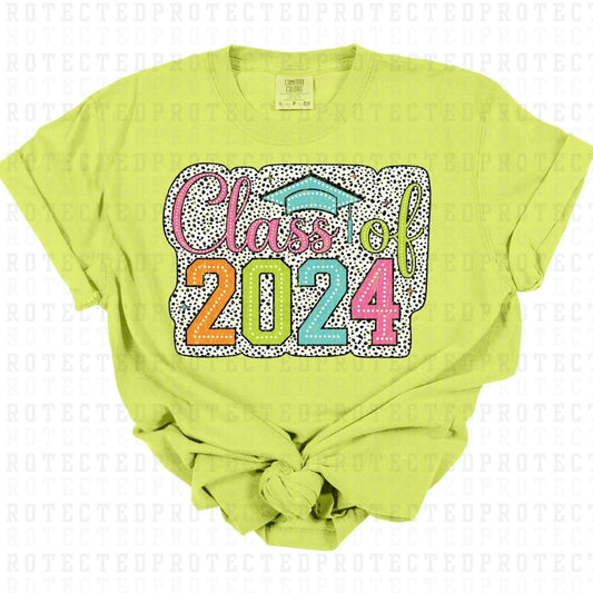 CLASS OF 2024 *W/GRUNGE* - DTF TRANSFER