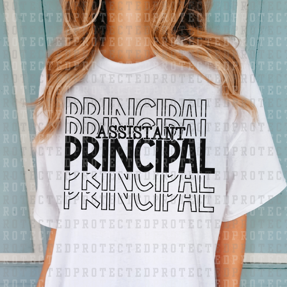 ASSISTANT PRINCIPAL *SINGLE COLOR* - DTF TRANSFER