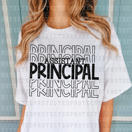 ASSISTANT PRINCIPAL *SINGLE COLOR* - DTF TRANSFER