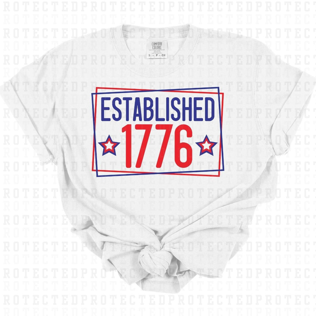 ESTABLISHED 1776 - DTF TRANSFER