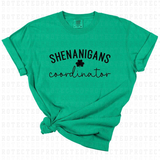 SHENANIGANS COORDINATOR *SINGLE COLOR* - DTF TRANSFER