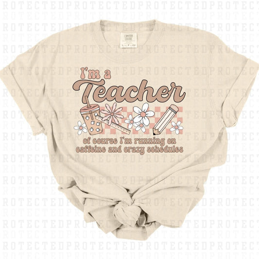 IM A TEACHER - DTF TRANSFER