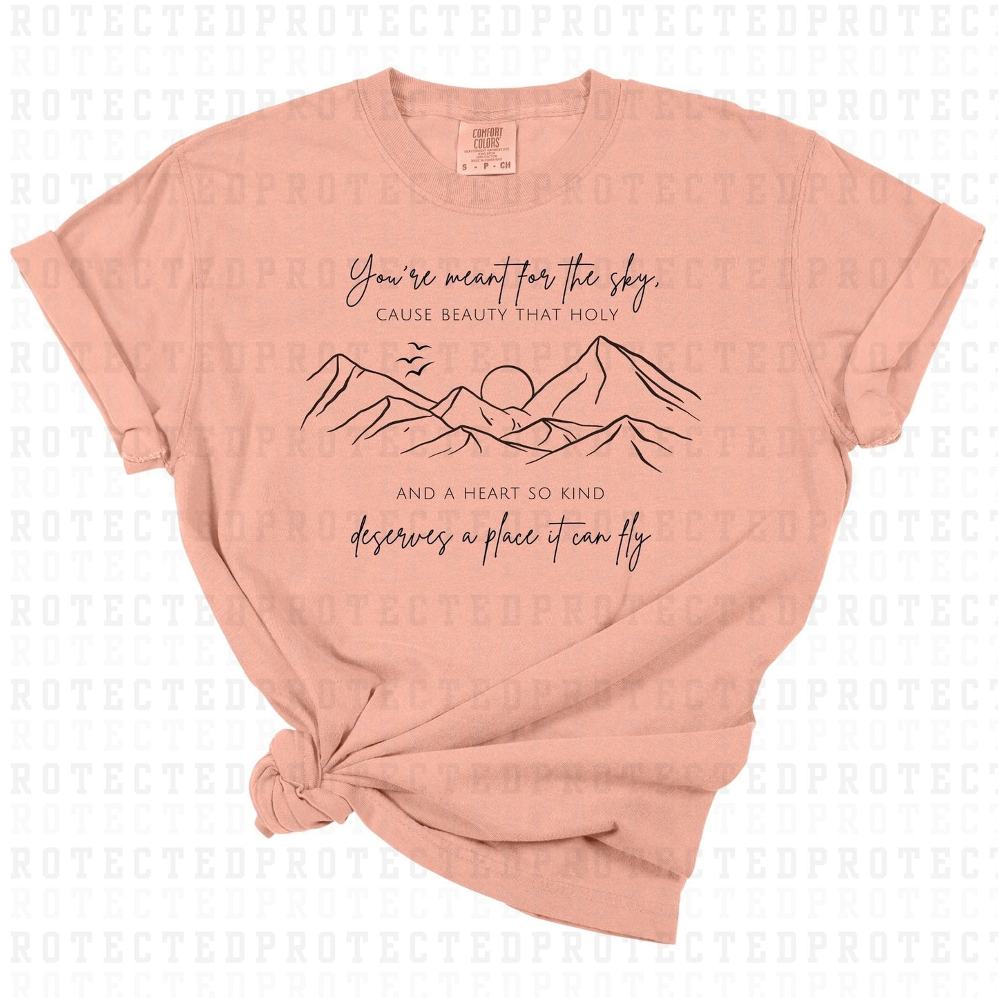 YOU'RE MEANT FOR THE SKY *ZACH BRYAN+BLACK TEXT+SINGLE COLOR* - DTF TRANSFER