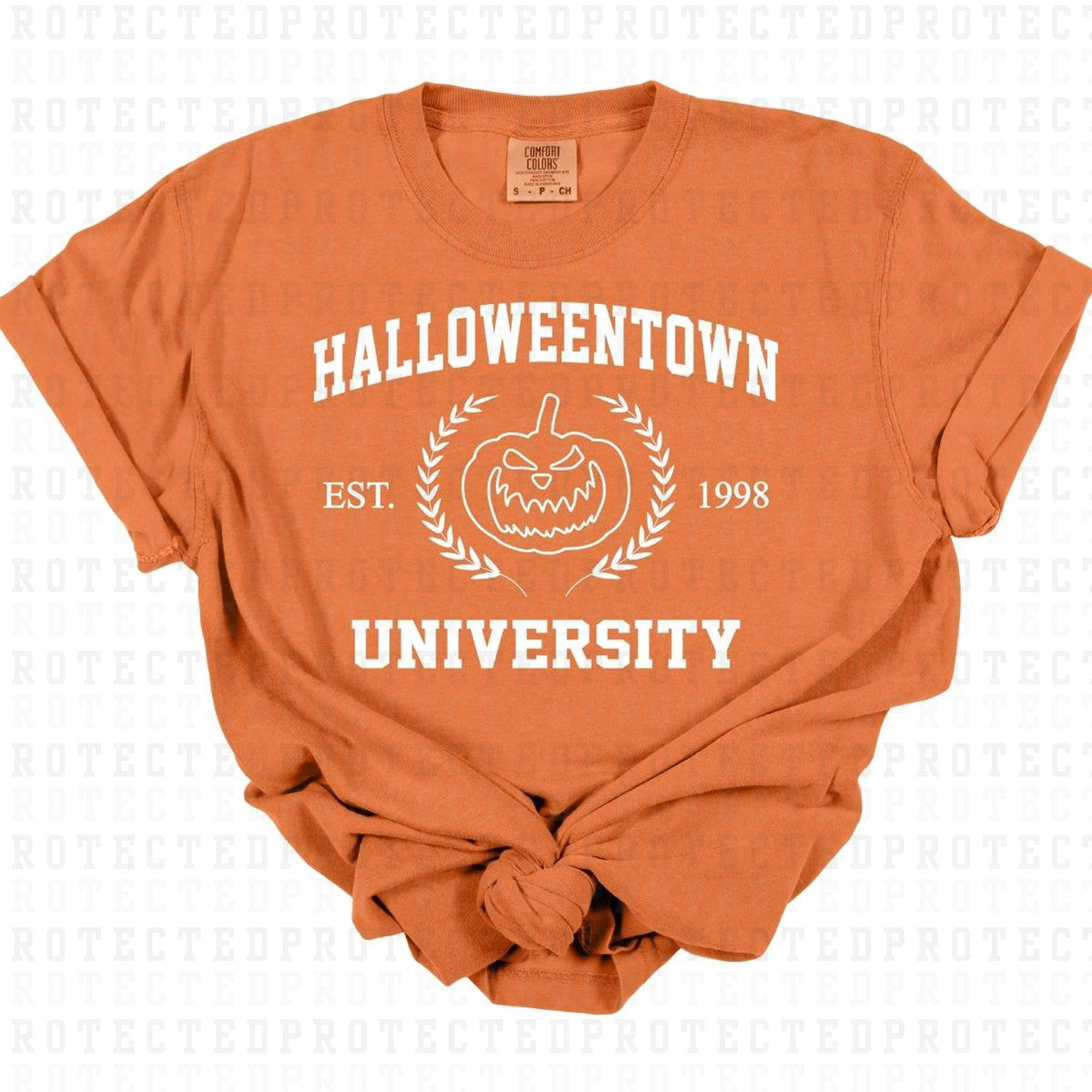 HALLOWEENTOWN *SINGLE COLOR* - DTF TRANSFER