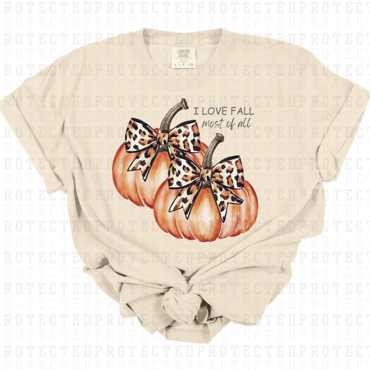 COQUETTE I LOVE FALL - DTF TRANSFER