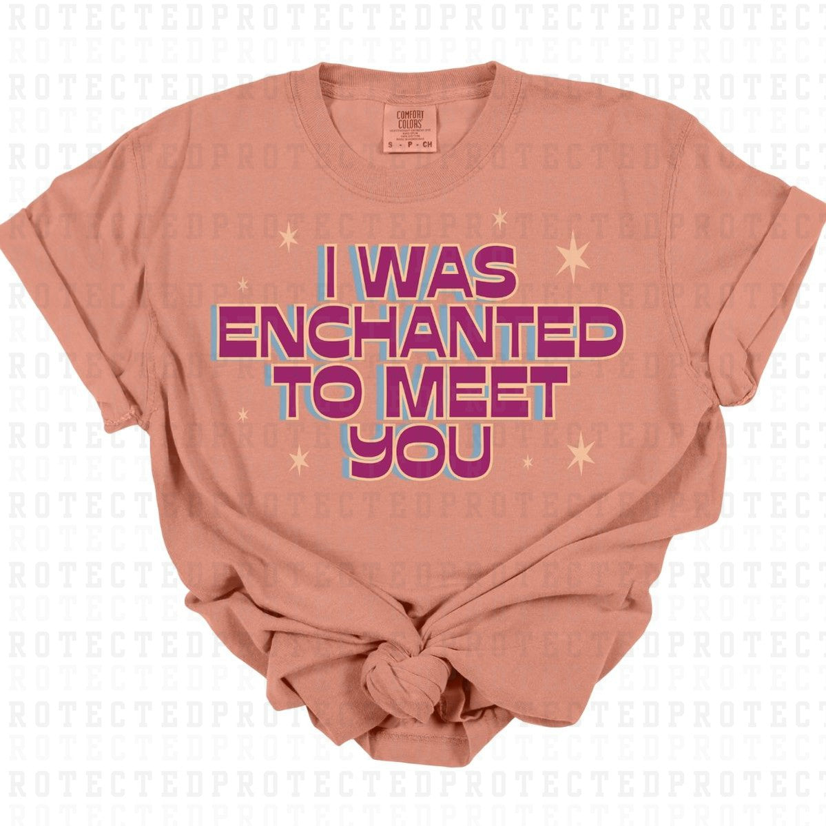 I WAS ENCHANTED TO MEET YOU *TSWIFT* - DTF TRANSFER