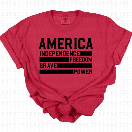 AMERICA *SINGLE COLOR* - DTF TRANSFER