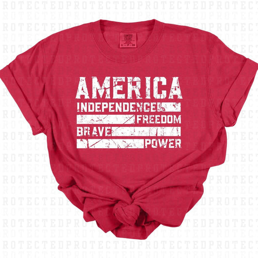 AMERICA *SINGLE COLOR* - DTF TRANSFER