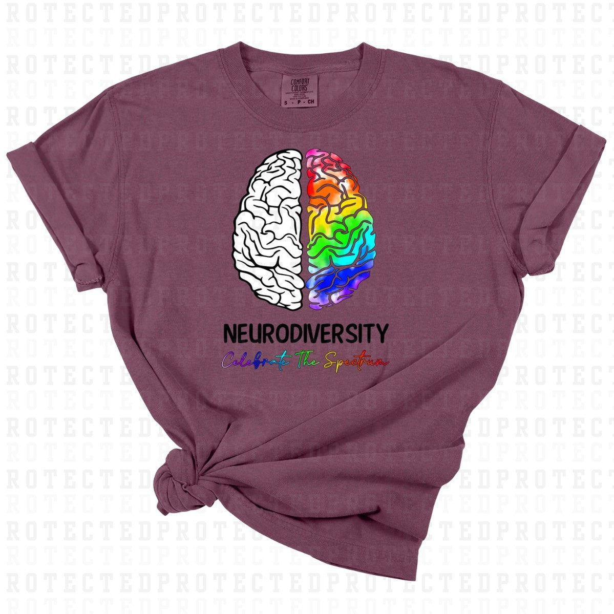 NEURODIVERSITY CELEBRATE THE SPECTRUM - DTF TRANSFER