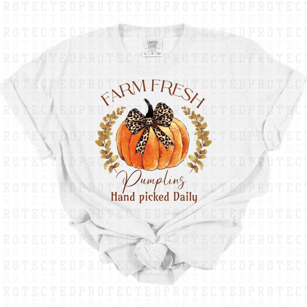 COQUETTE FARM FRESH PUMPKINS - DTF TRANSFER