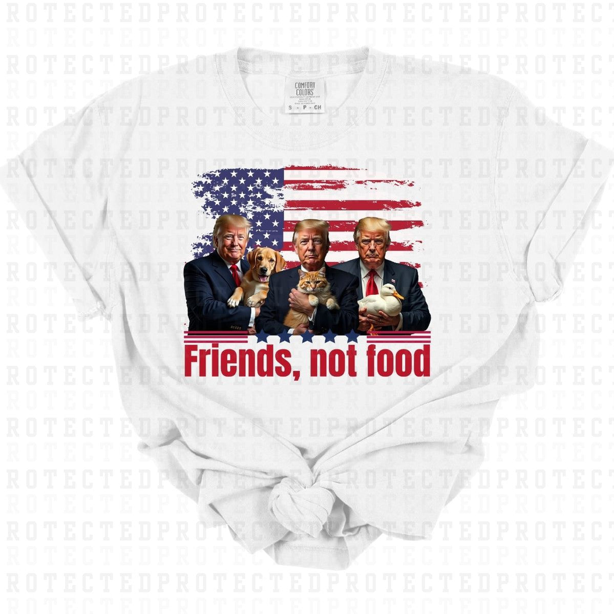 FRIENDS NOT FOOD *DONALD TRUMP* - DTF TRANSFER