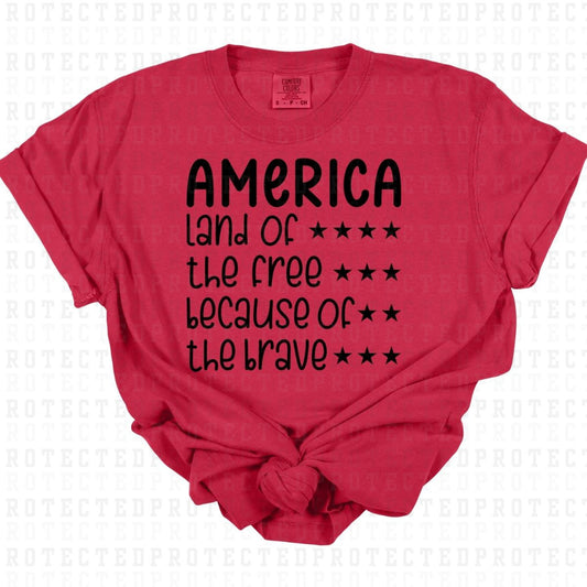 AMERICA *SINGLE COLOR* - DTF TRANSFER