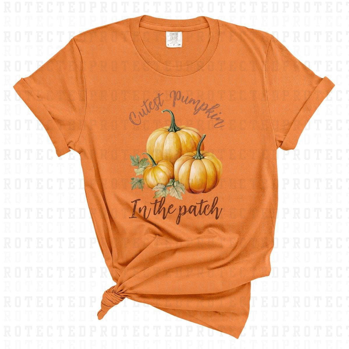 CUTEST PUMPKIN IN THE PATCH - DTF TRANSFER