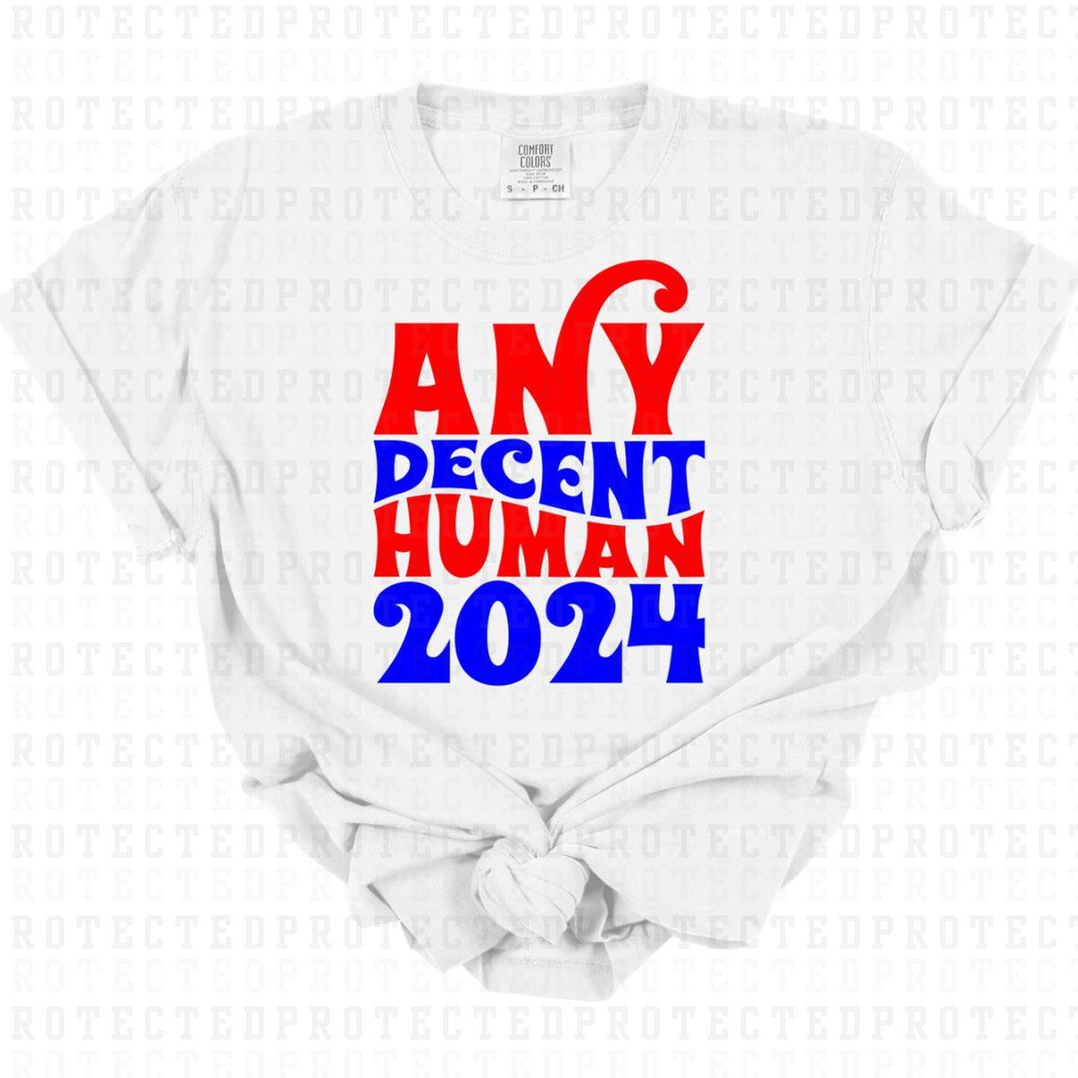 ANY DECENT HUMAN 2024 - DTF TRANSFER