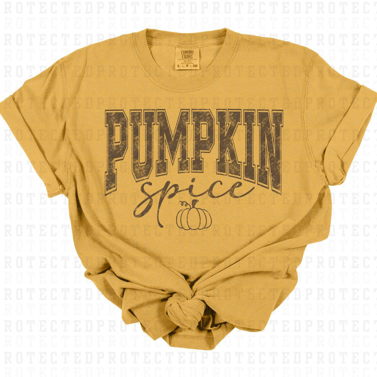 PUMPKIN SPICE *SINGLE COLOR* - DTF TRANSFER