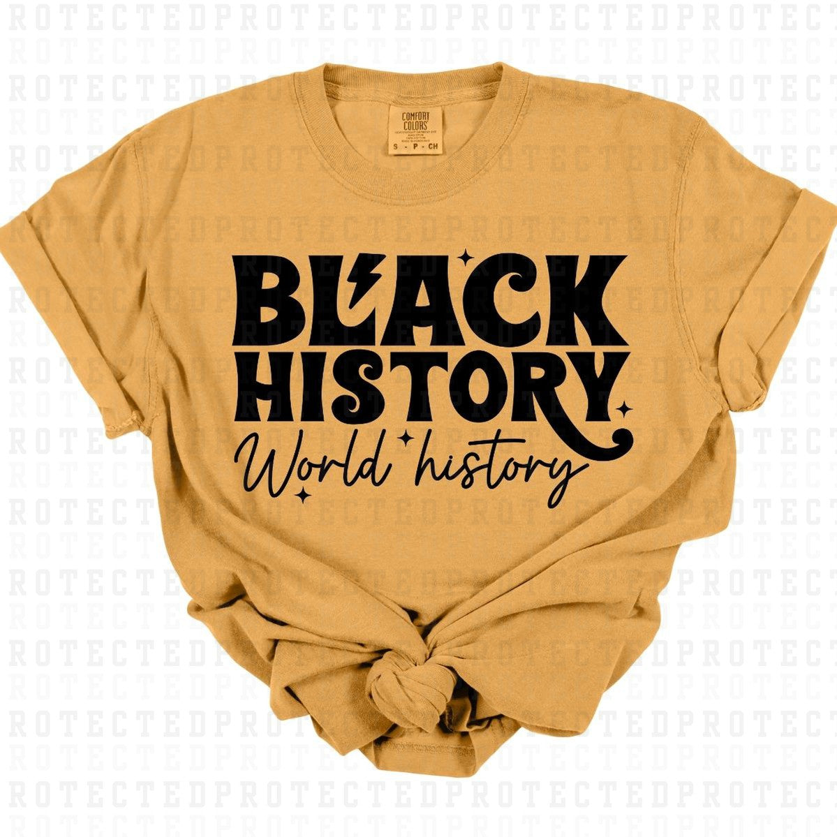 BLACK HISTORY WORLD HISTORY *SINGLE COLOR* - DTF TRANSFER