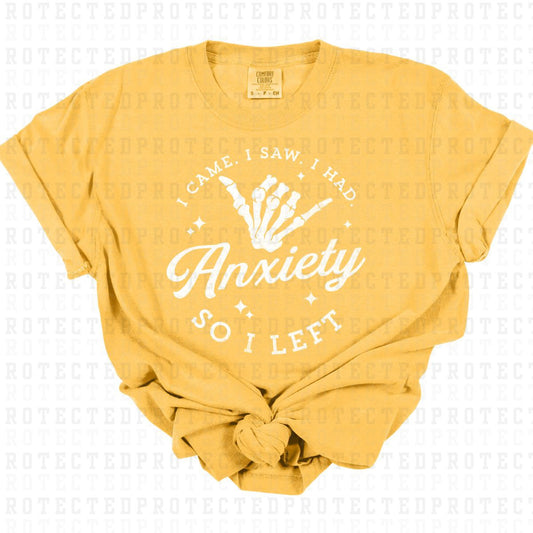 I CAME I SAW I HAD ANXIETY *SINGLE COLOR* - DTF TRANSFER