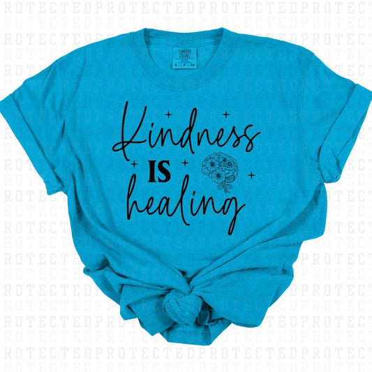 KINDESS IS HEALING *SINGLE COLOR* - DTF TRANSFER