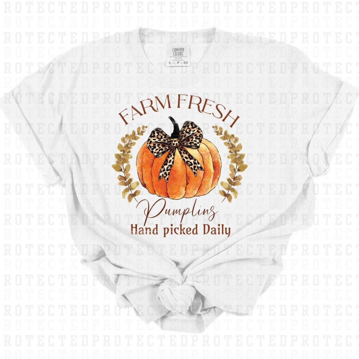 COQUETTE FARM FRESH PUMPKINS *GRUNGE* - DTF TRANSFER