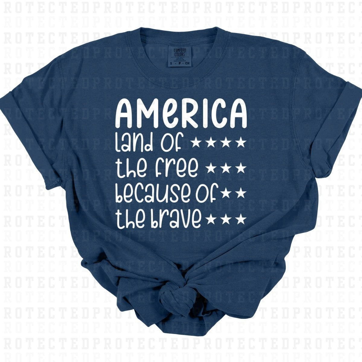 AMERICA *SINGLE COLOR* - DTF TRANSFER