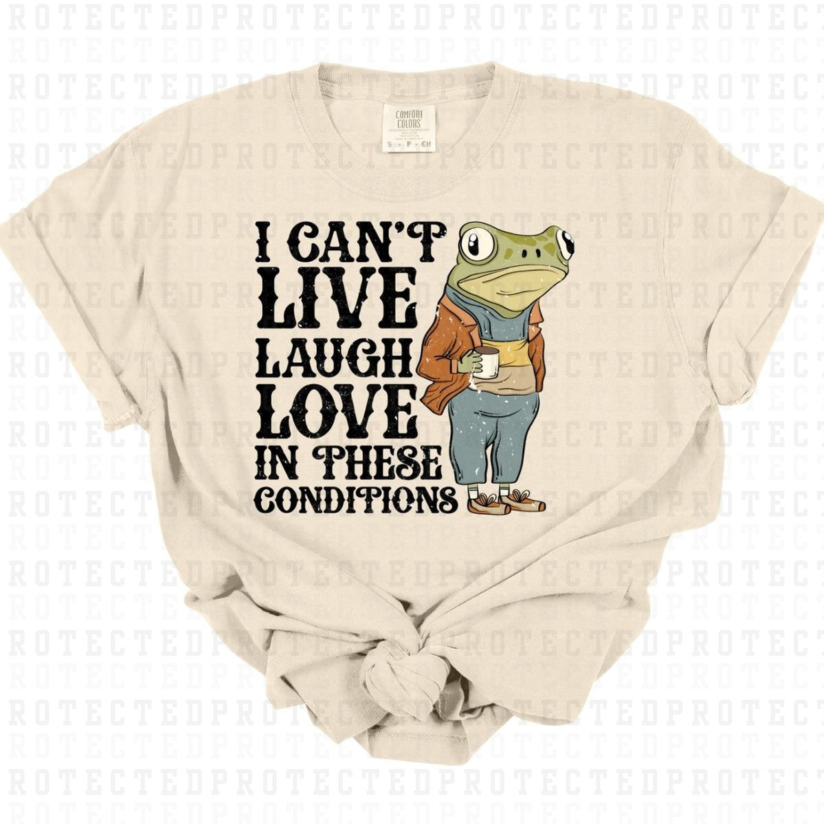 I CANT LIVE LAUGH LOVE IN THESE CONDTIONS *GRUNGE* - DTF TRANSFER