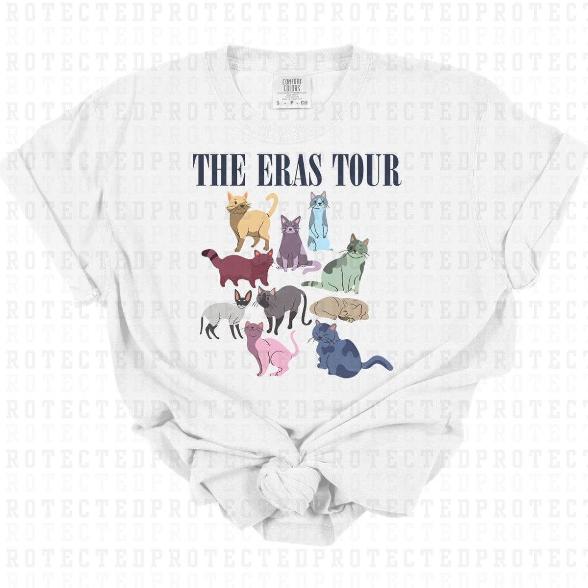 THE ERAS TOUR *TSWIFT* - DTF TRANSFER